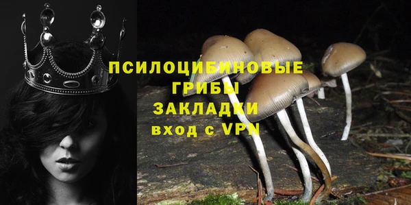 прущий лед Белокуриха